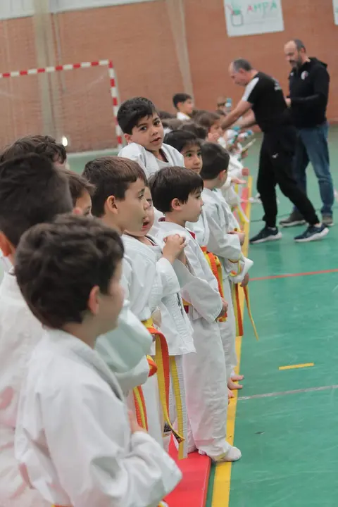 Judo Zamora y Morales