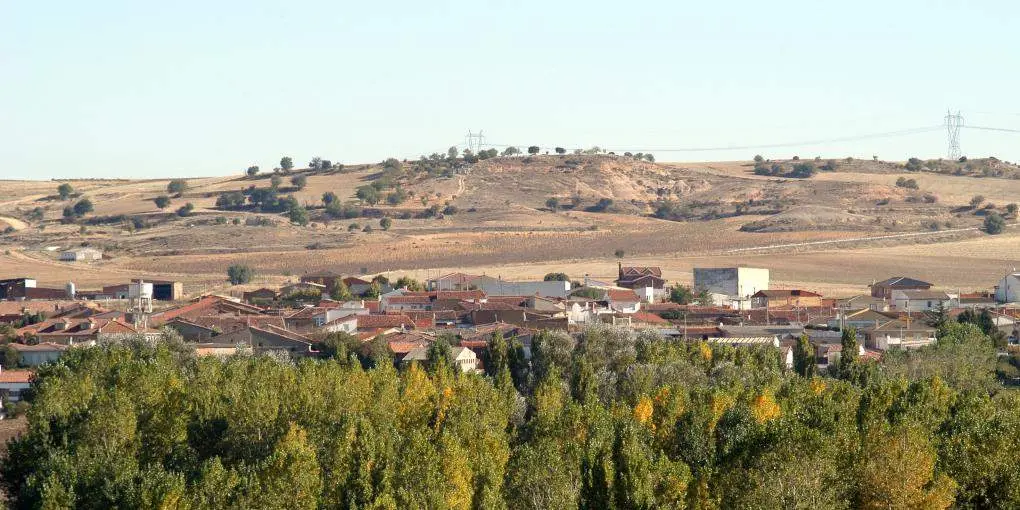 Gema del Vino. Fotografía: Diputación de Zamora