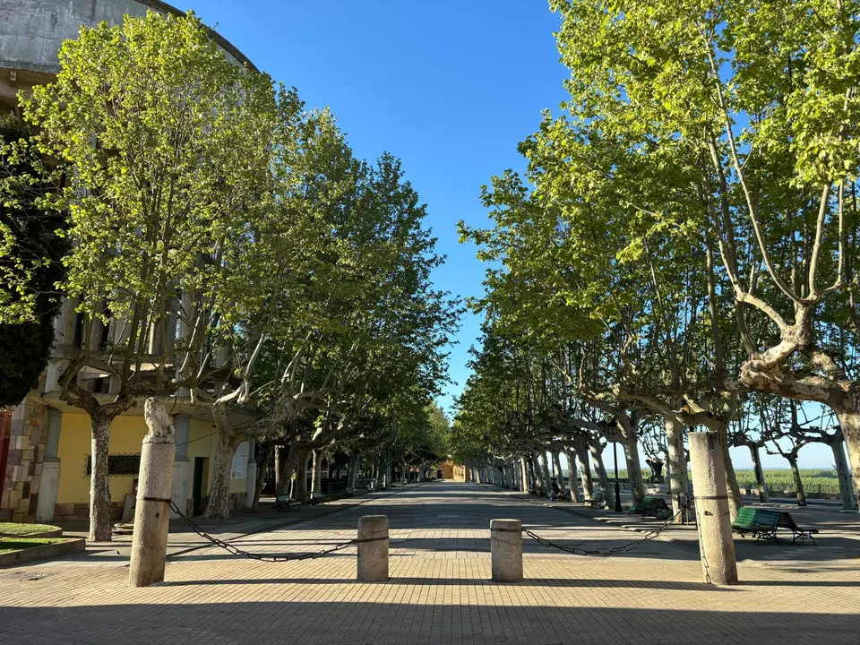 Paseo de la Mota Benavente