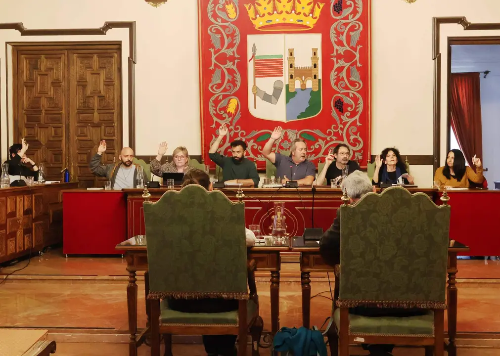 pleno Ayuntamiento de Zamora
