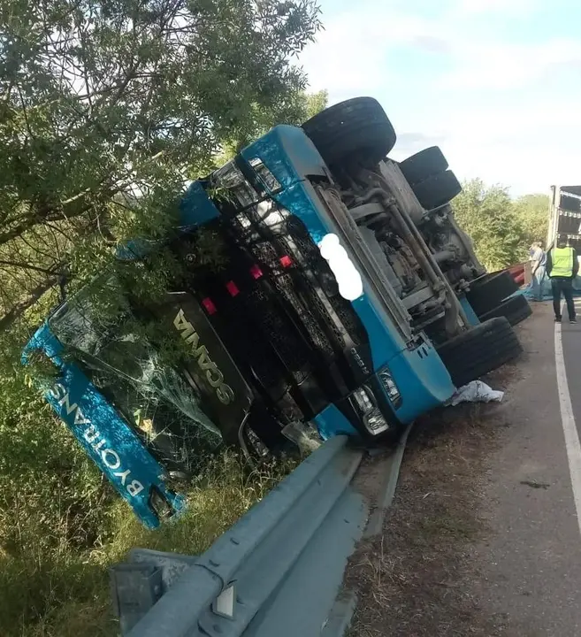 Camión volcado en la carretera ZA-P-1102, cerca de Granja Florencia. Fotografía: Diputación de Zamora