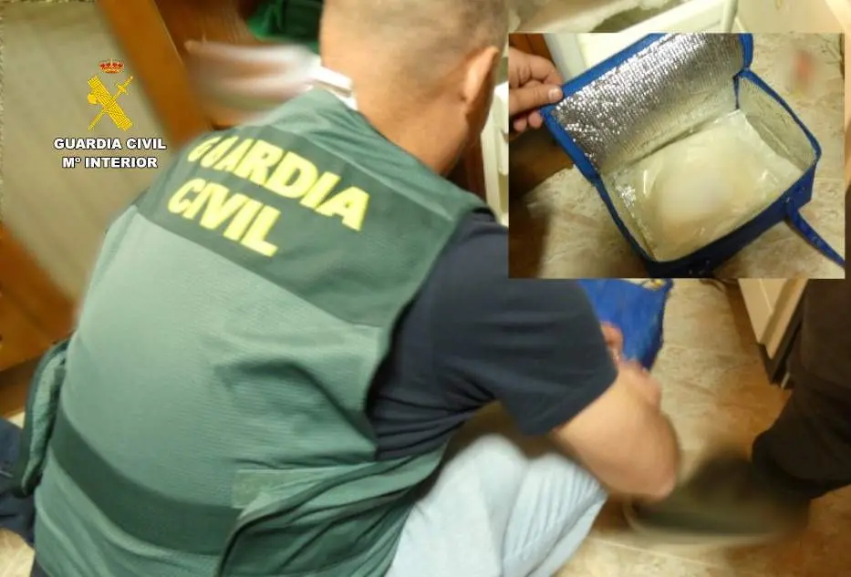La Guardia Civil desmantela dos puntos de venta de drogas en la comarca de Benavente