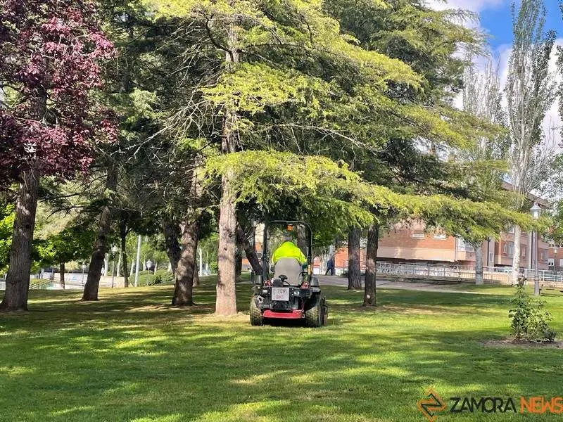 trabajador