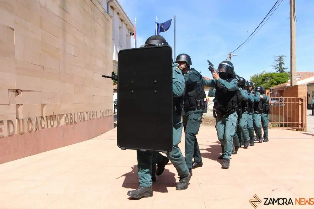 Simulacro coreses