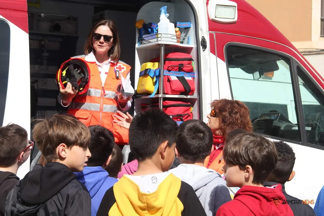 Cruz Roja celebra el Día de la Banderita por las calles de Zamora_7