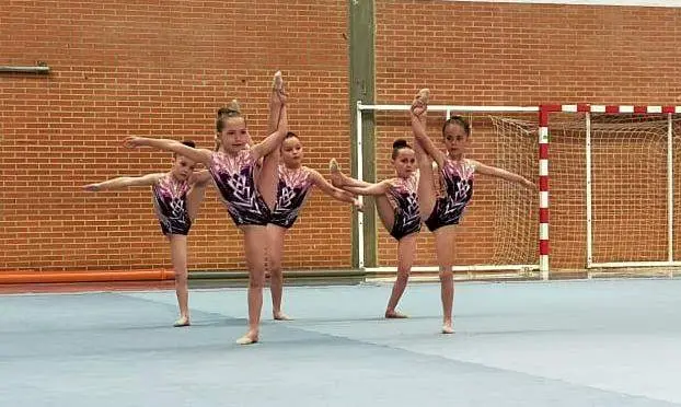Campeonato Provincial de Gimnasia Rítmica de Promesas y Absoluto Masculino en Zamora
