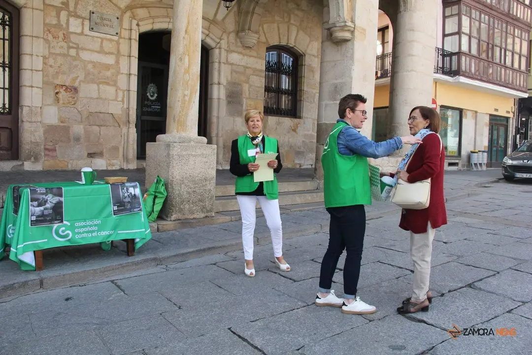 Día de la Cuestación de la AECC en Zamora