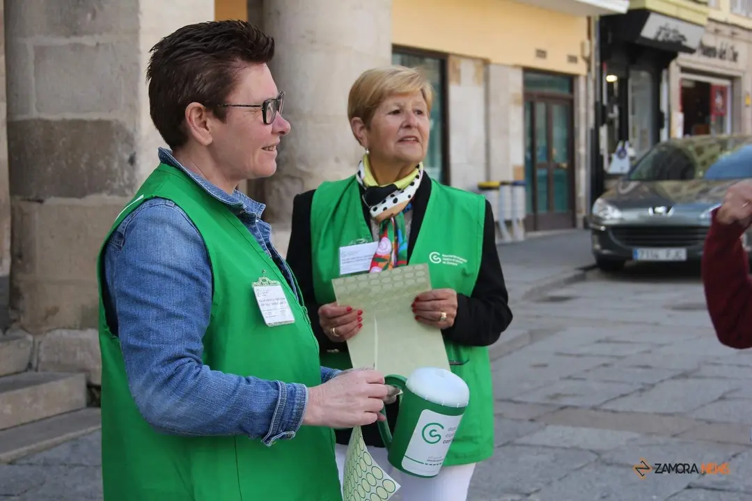 D&iacute;a de la Cuestaci&oacute;n de la AECC en Zamora