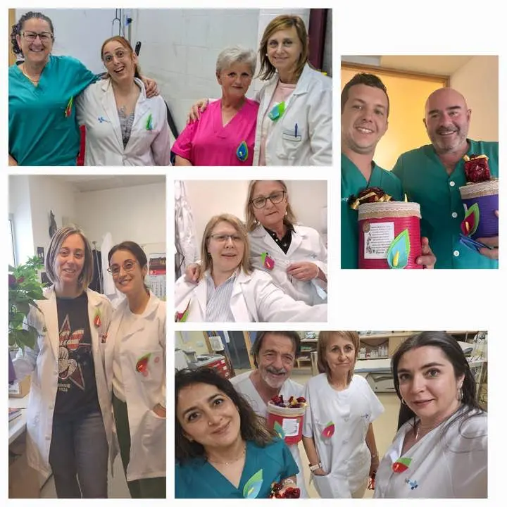 Entrega de los broches a los sanitarios del Centro de Salud de Bermillo. Fotografía: CEDIDA