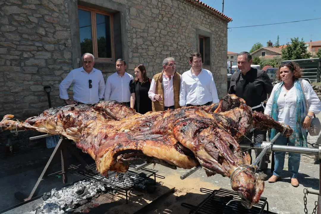 I Jornada de Promoción del Vacuno de Carne