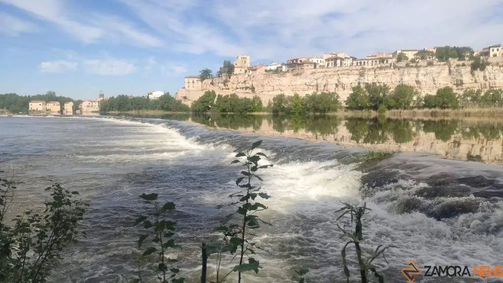 Zamora 