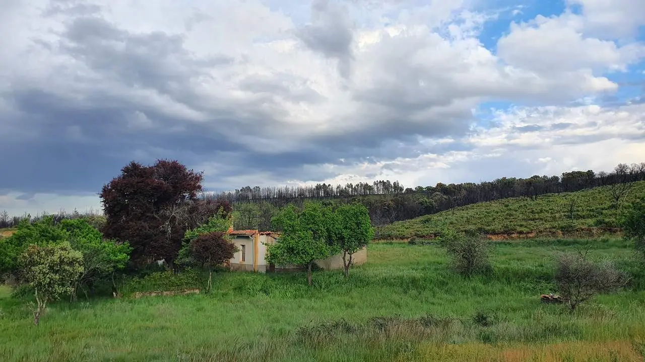 Finca El Ramajal donde se pretende instalar la macroplanta de biogás. Fotografía: CEDIDA