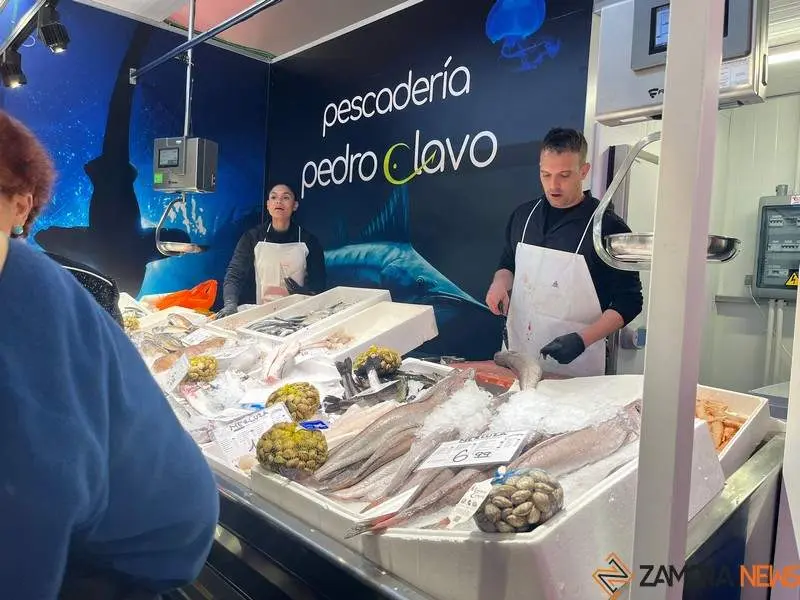 Mercado de Abastos Temporal_9