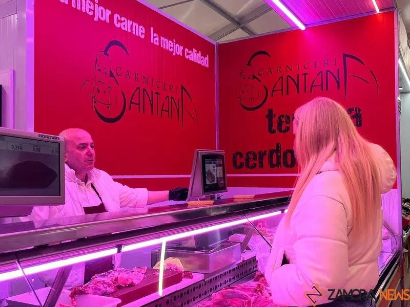 Mercado de Abastos Temporal_14