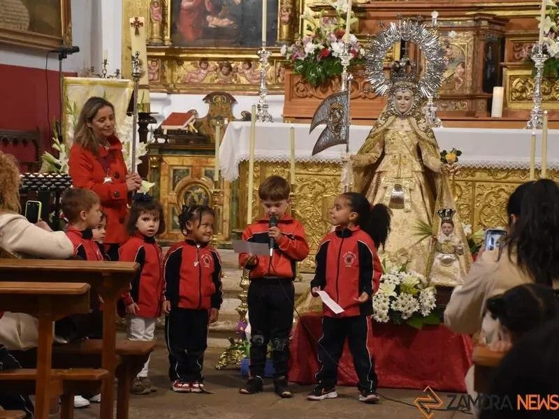 Divina Providencia ofrenda floral_16