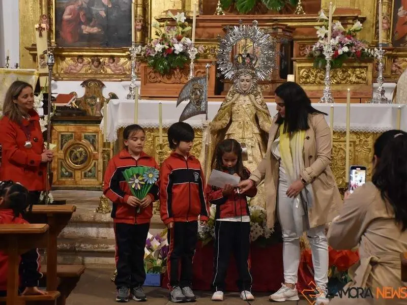 Divina Providencia ofrenda floral_18