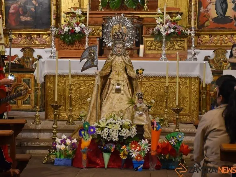 Divina Providencia ofrenda floral_23