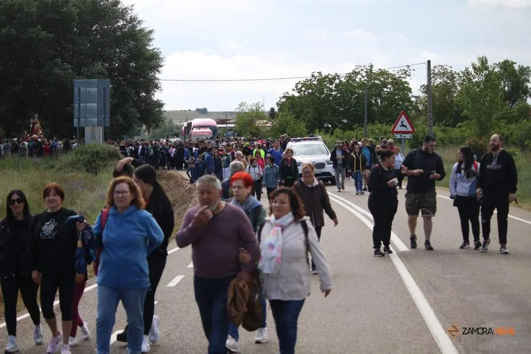 Romería de La Hiniesta_14