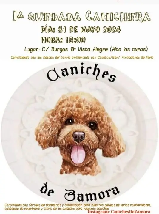 Quedada Caniches