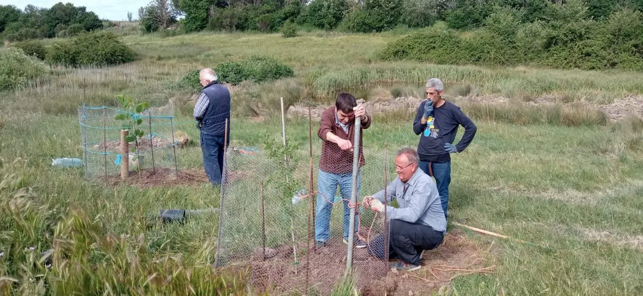 Pontejos planta dos árboles por cada mayo
