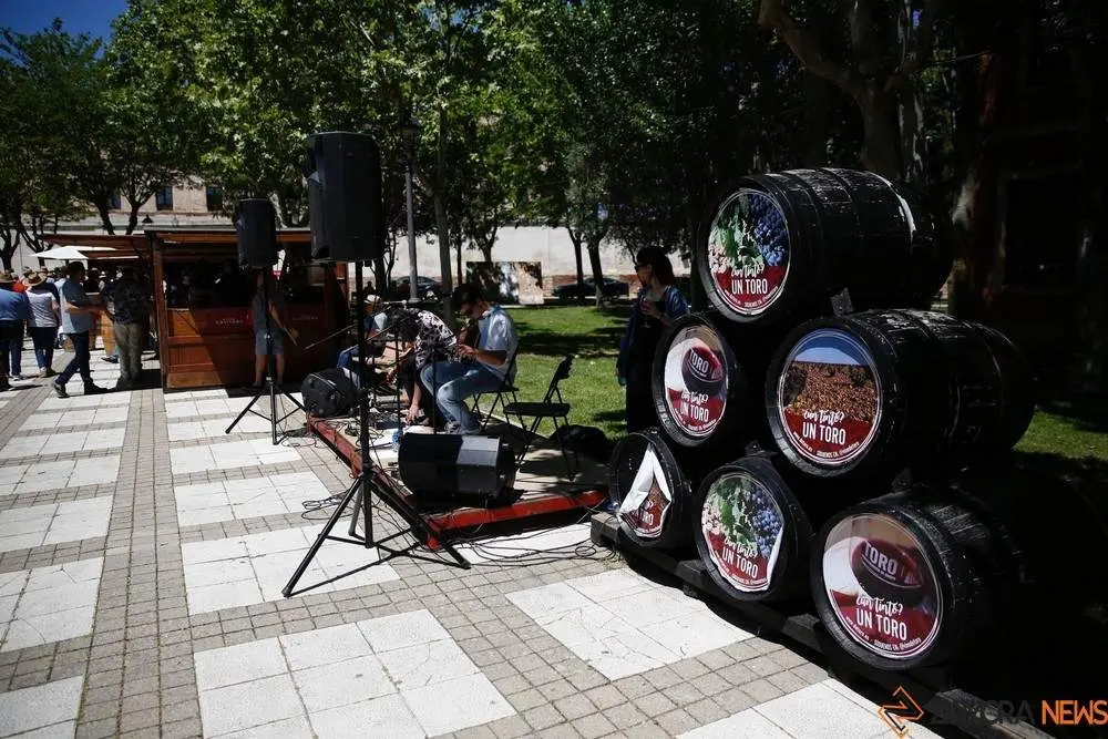 manifestación ruta de la plata_3