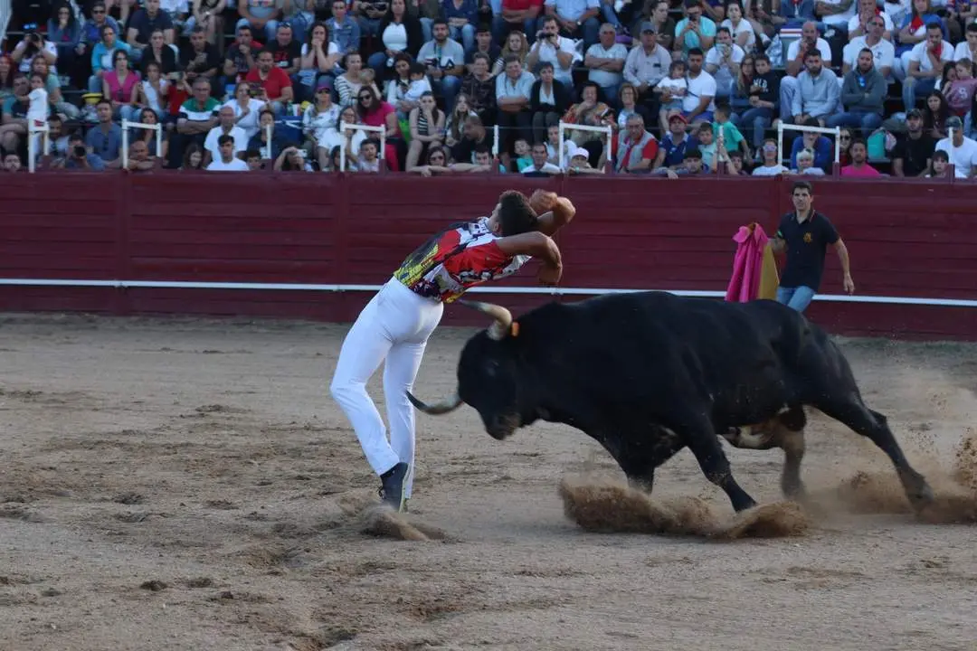 Concurso de cortes. Fotografía: Ayuntamiento de Benavente