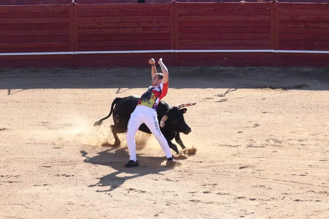 Concurso de cortes. Fotografía: Ayuntamiento de Benavente