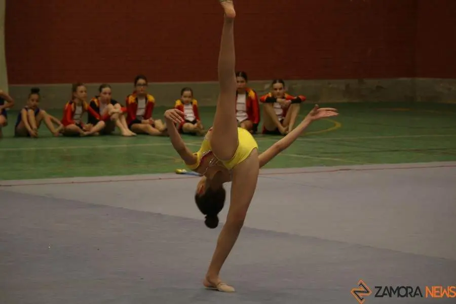 Exhibición de gimnasia rítmica Mapecca_17
