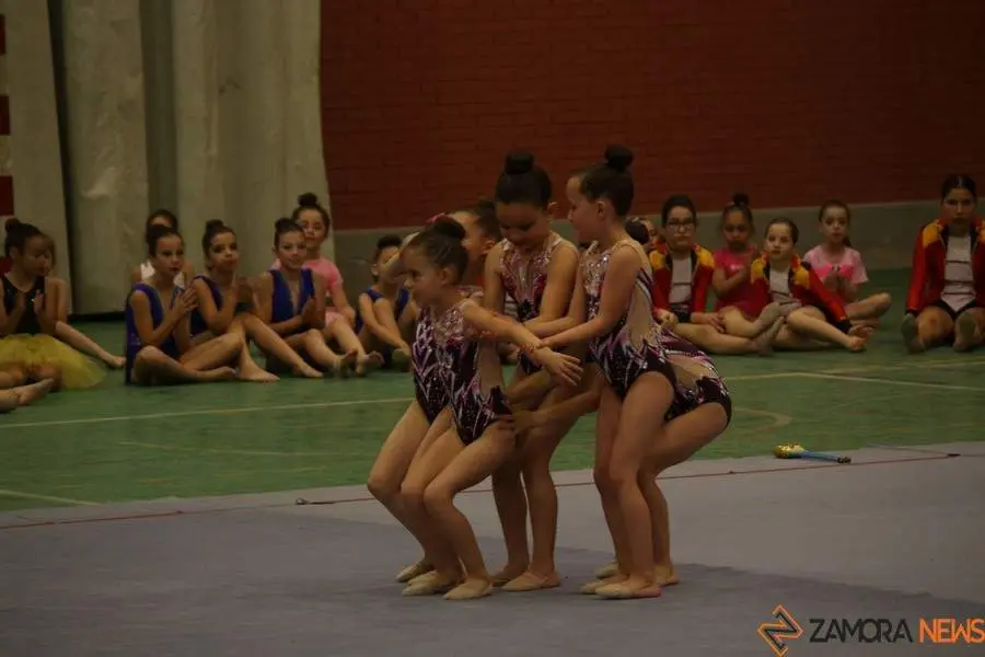 Exhibición de gimnasia rítmica Mapecca_22