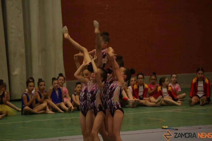 Exhibición de gimnasia rítmica Mapecca_23