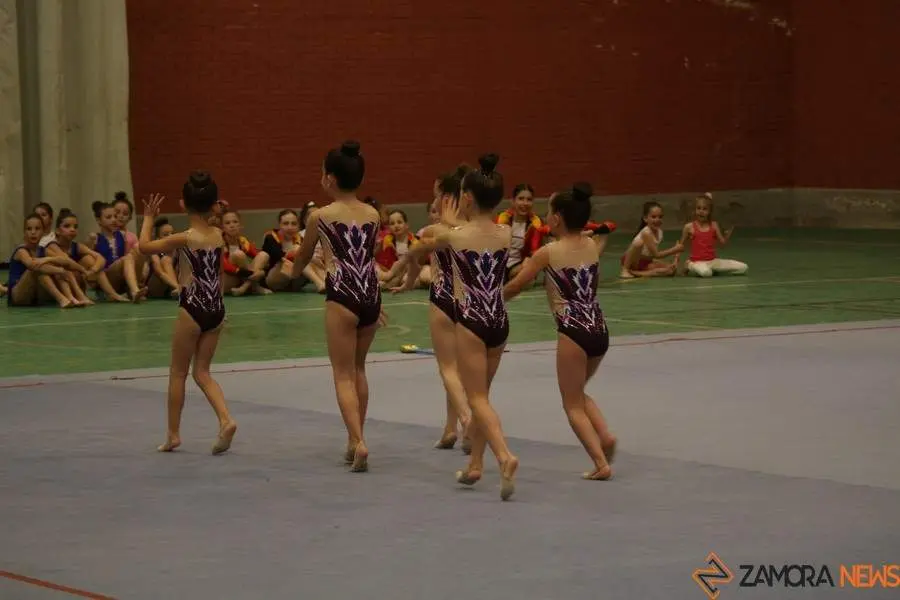 Exhibición de gimnasia rítmica Mapecca_25