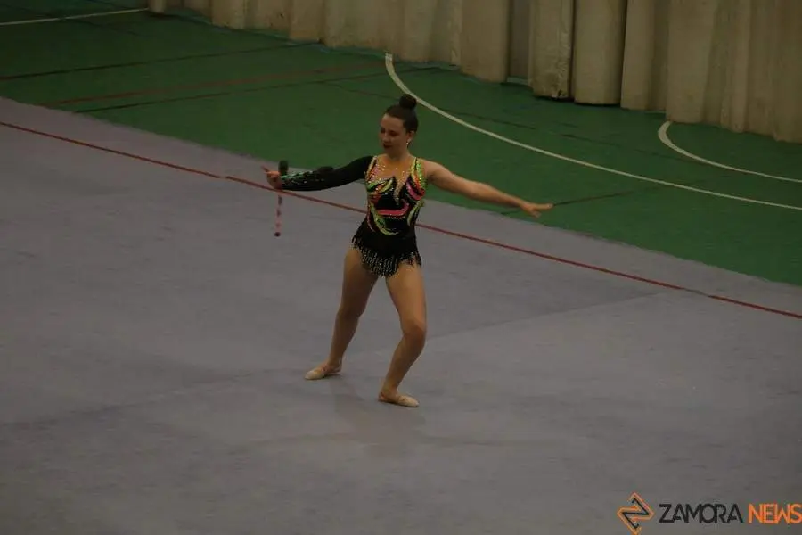 Exhibición de gimnasia rítmica Mapecca_31
