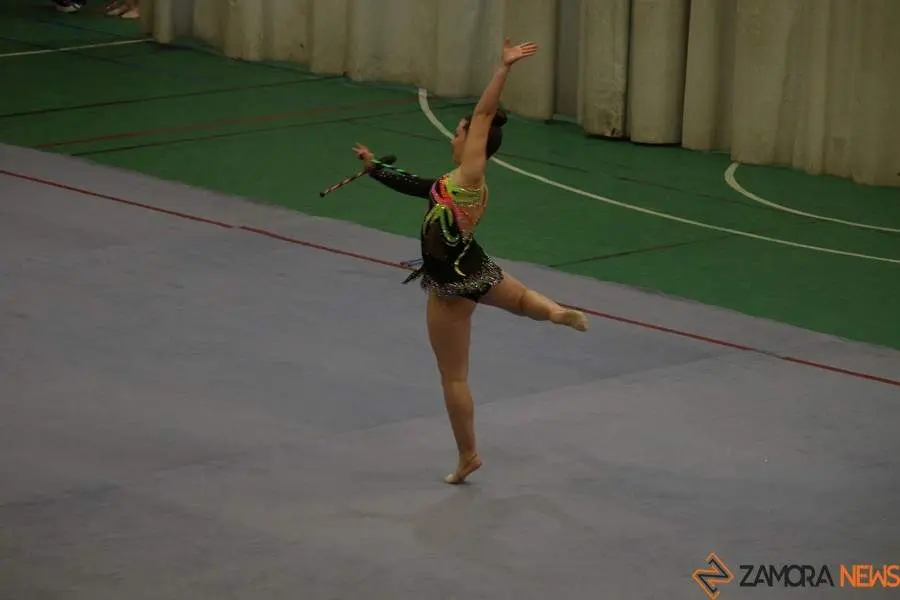 Exhibición de gimnasia rítmica Mapecca_32