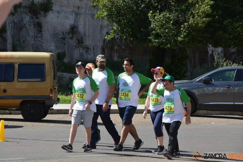 cerco de zamora_27
