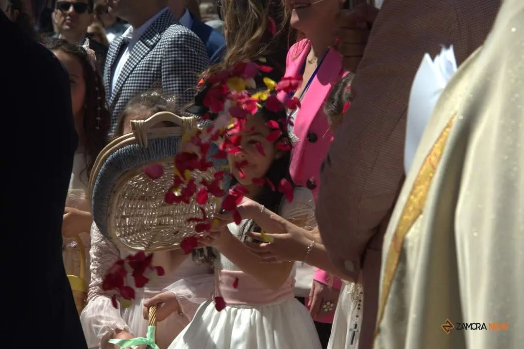 Festividad Corpus Christi Zamora 2024