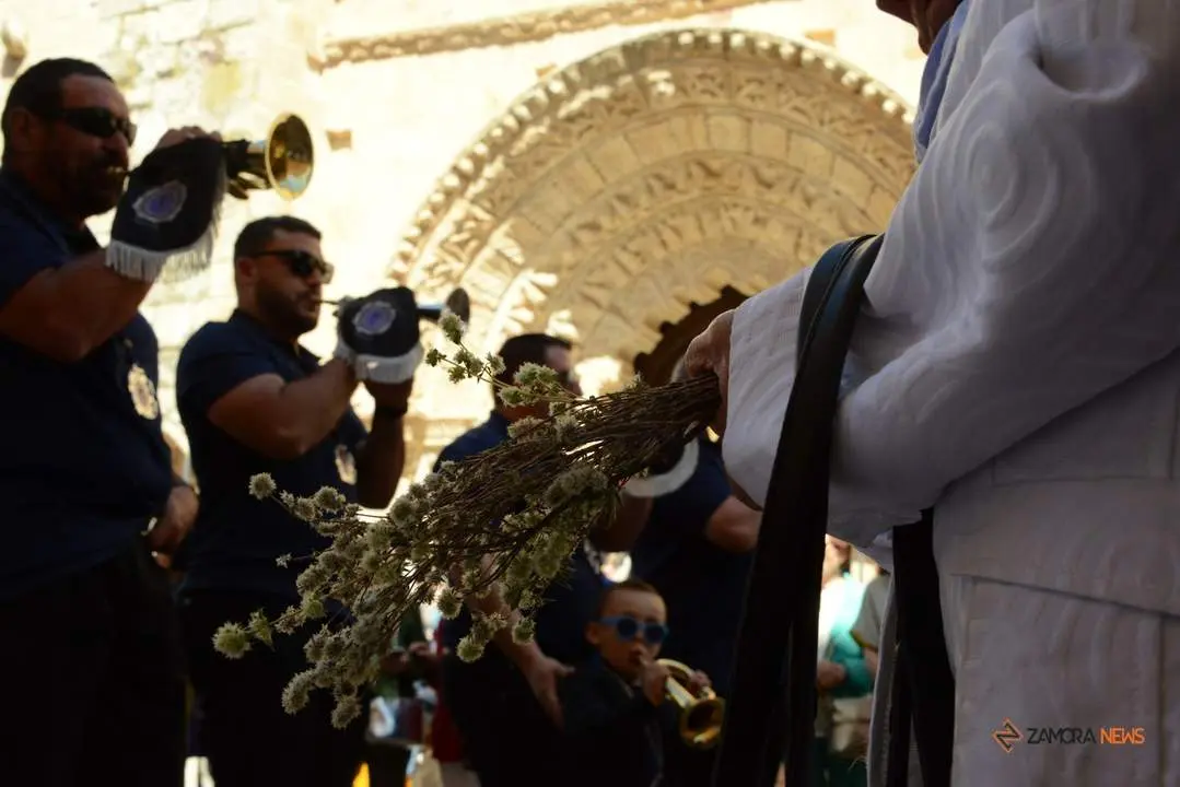 Festividad Corpus Christi Zamora 2024