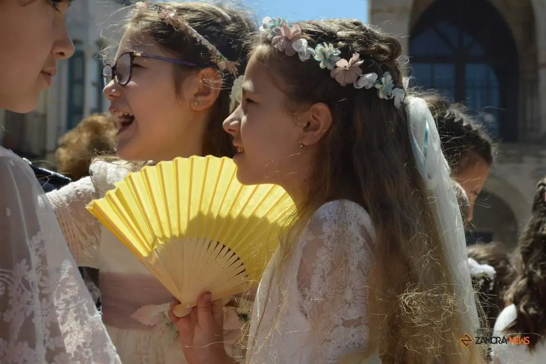 Festividad Corpus Christi Zamora 2024