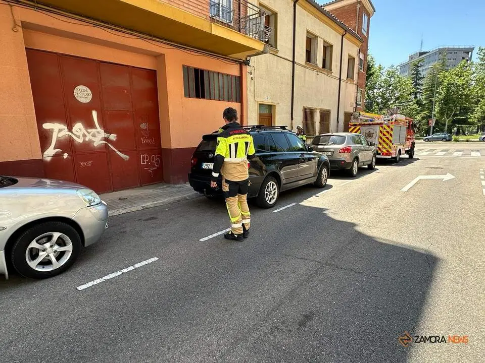 Culebra capturada por los Bomberos de Zamora en la calle Francisco Pizarro de Zamora