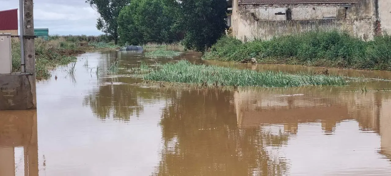 Arroyo de la Vega en Cerecinos de Campos