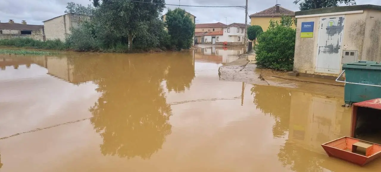 Estado del arroyo de La Vega tras desbordarse a su paso por Cerecinos de Campos