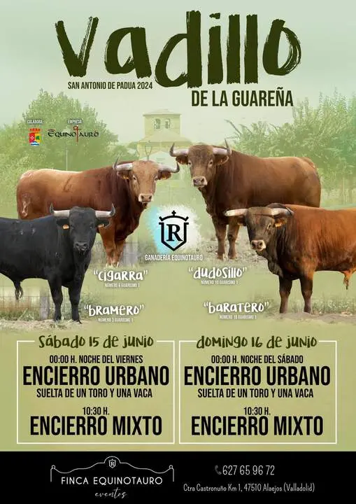 Cartel Vadillo de la Guareña