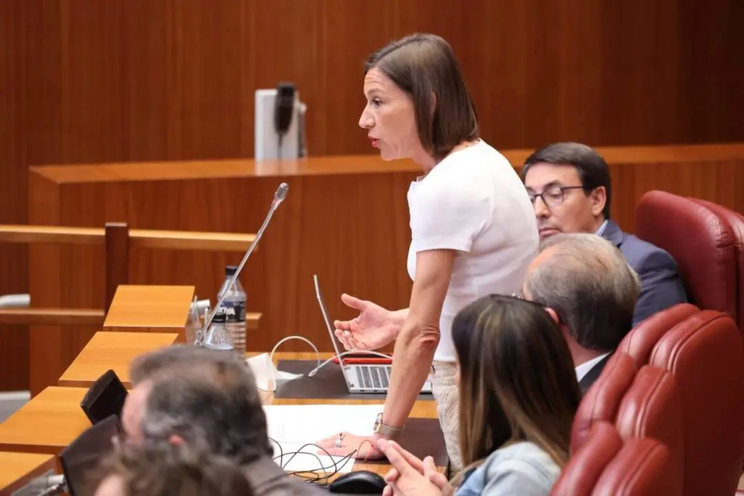 PSOE CyL