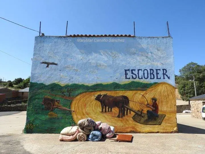 Escober de Tábara. imagen facebook