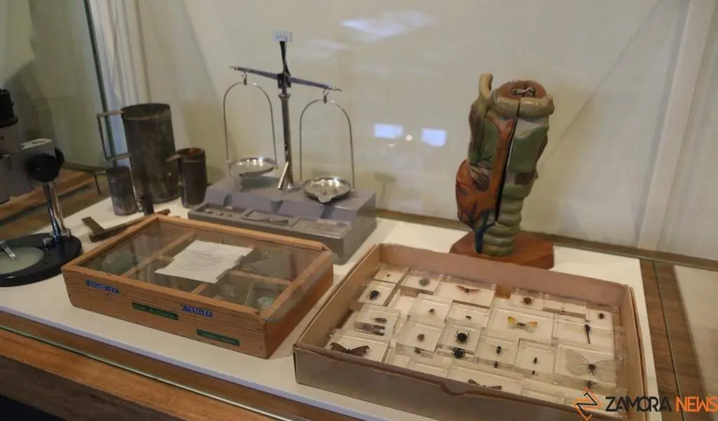 Museo Pedagógico_27