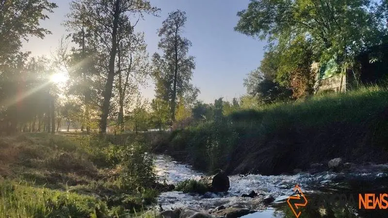 zamora postal