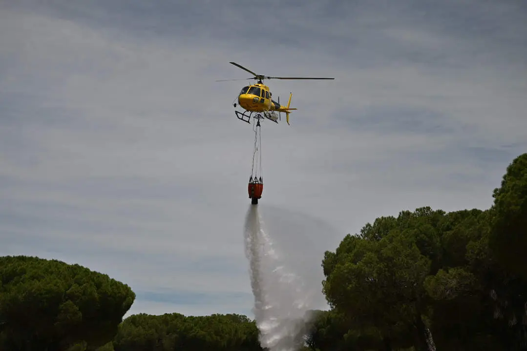 Simulacro de intervención ante incendio forestal 2 Imagen Junta
