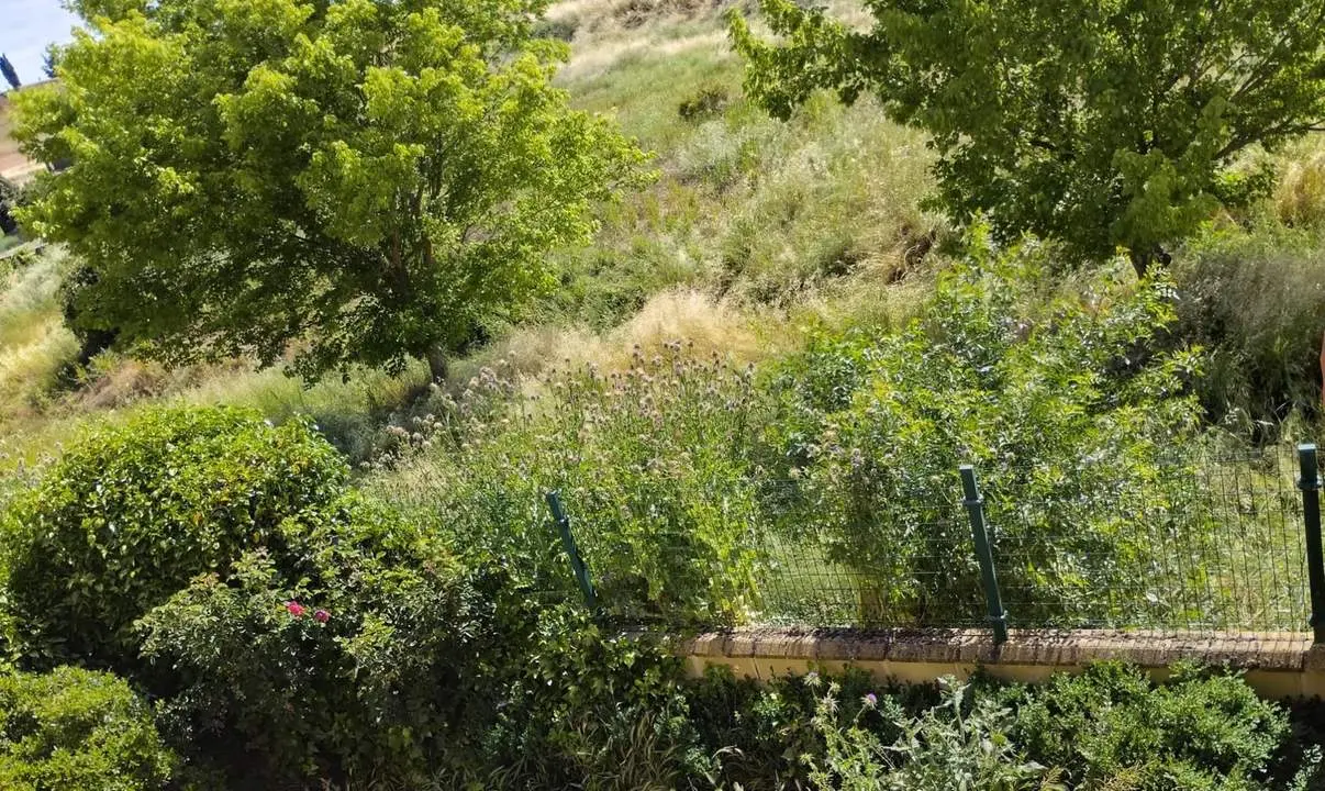 Estado jardines y arroyo Andavías
