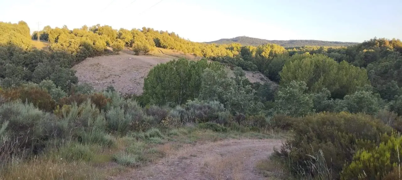 valle zapatera 1