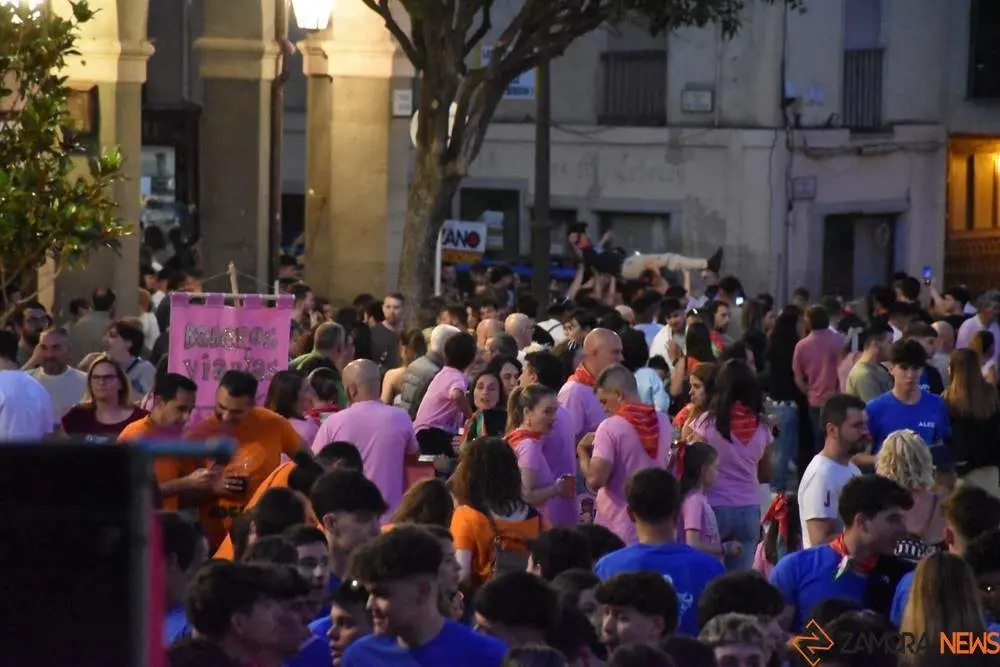 fiestas san pedro 2024_3