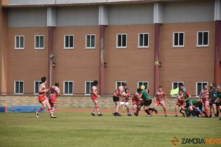 rugby Zamora, torneo San Pedro_3